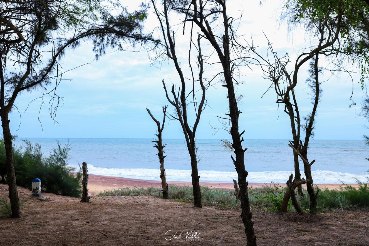 Ceylonta Beach Resort And Spa 함반토타 외부 사진